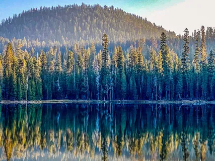 Re-Discovering Stillness