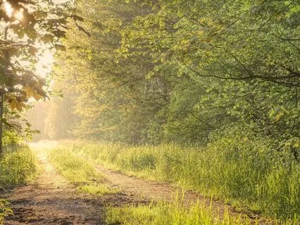 Re-Energize & Realign For Reconnection And Abundance