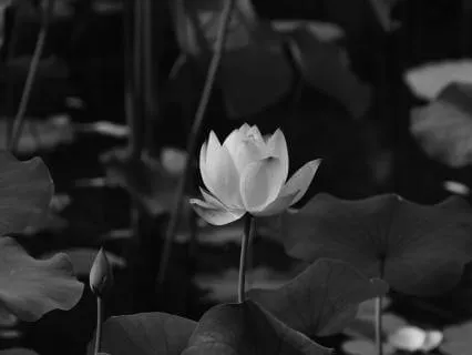 Re-Envisioning Yourself (Day 1)