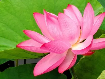 Re-Envisioning Yourself (Day 3)