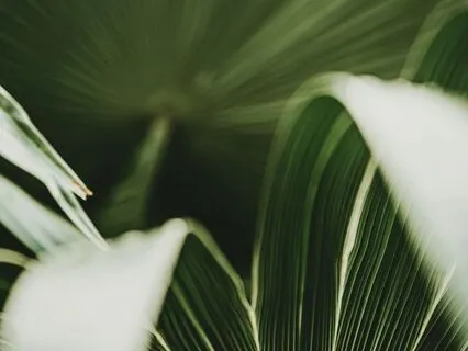 Meditation For Rebuilding Self Trust