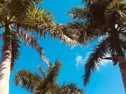 Regrounding Yourself 