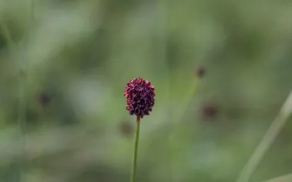 Re-Mind Yourself: You Are Okay