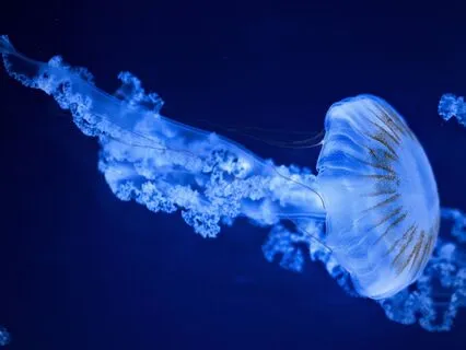 Re-strengthen With Angel Michael