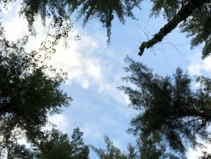 Re-Verse Your Universe - Air