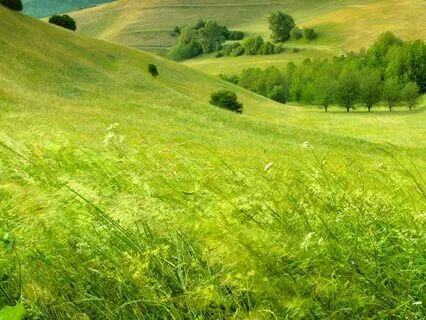 Reach For The Sky String Orchestra