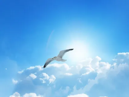 Reaching New Heights