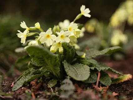 Reaching Out For Support - February 07