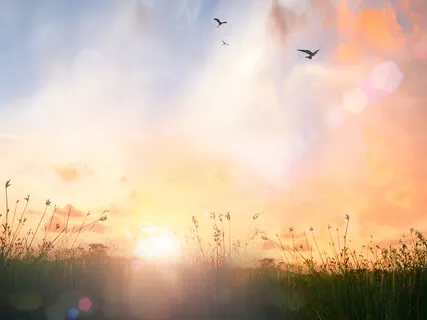 Reaching Out | Tribal Sounds Journey