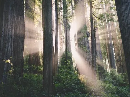 React Less, Respond More Meditation