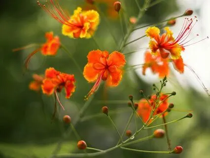 Words Of Wisdom: Why Reading Poetry Makes Us Happy