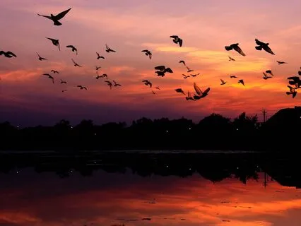 Reading From My Personal Journal: Thoughts, Musings & Poetry