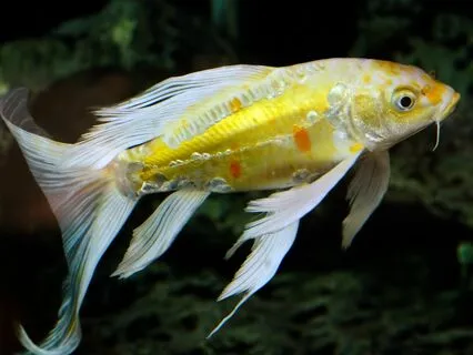 Ready For A Power Break