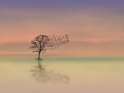 Ready For Work - Morning Meditation For Teachers