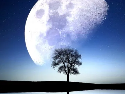 Ready To Rest Meditation For Children