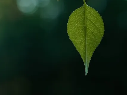 Real Life Practice - Acceptance & Change