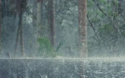 Real Rain & Binaural Beats Meditation (My Personal Daily)