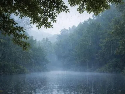 Real Rainfall Resonance & Calming Soundscape