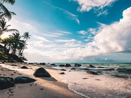 Real Relaxing Ocean Sounds From Penguin, Tasmania