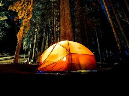 Real Sound Of Forest At Night With Instrumental Music