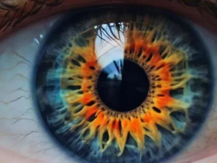 Realign With Your Vision For 2026 - Manifestation Meditation