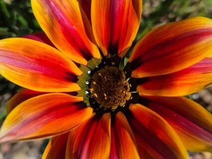 Realisation Of Ease And Joy