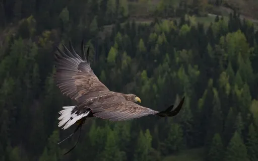 Realise Your Unlimited Potential