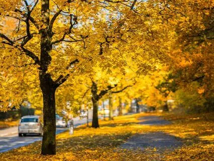 Realising Of Life - Golden 11 Minutes Of Your Life