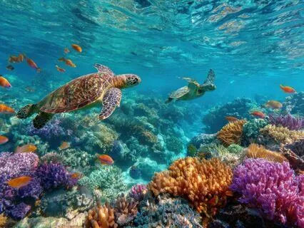 Reality Is Abundance, Your Fearful Mind Is Scarcity