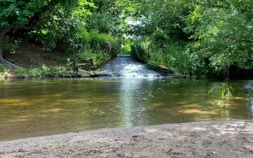 Reality Shifting - The World Of Gorfine