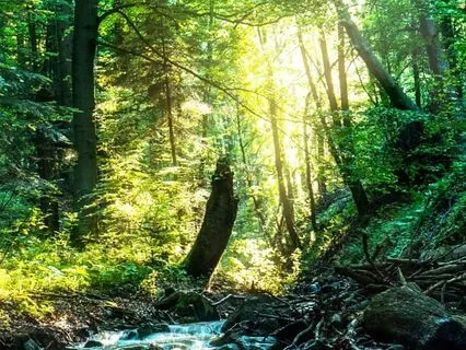 Reality Shifting Through The Seasons: Bedtime Tale