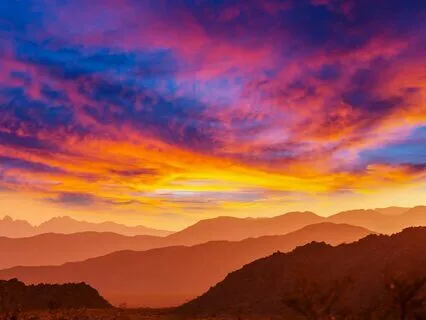 Realize Your True Potential & Manifest Miracles