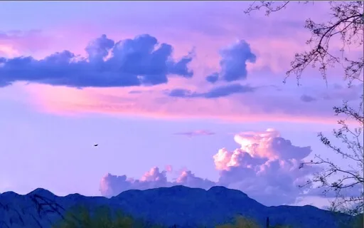 Taking Flight! ~Meditative Awakening LifePurpose~PianoMusic