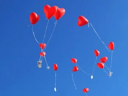 Reason, Season, Lifetime