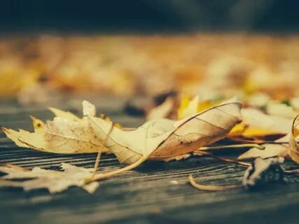 Reasons Why We Give Up On Mindfulness