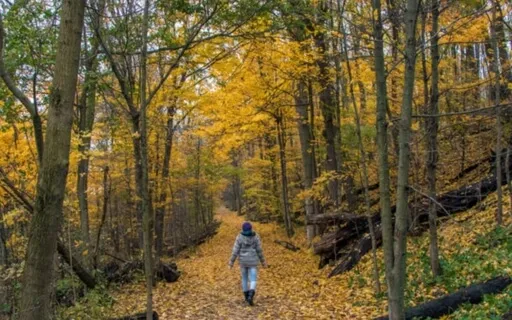 Reasons Why You Don't Practice Selfcare (Live Recording)