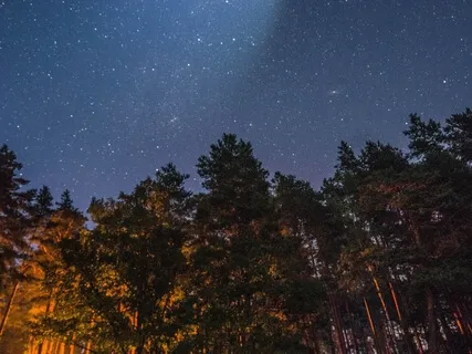 Reasons You Should Practice Yoga Nidra