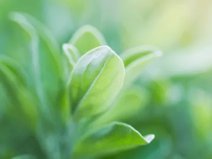 Reassure & Support Yourself  - 20 Minute Daily Insight