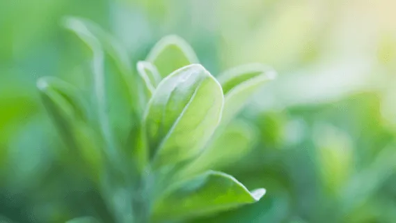 Reassure And Support Yourself  - 5min Daily Insight