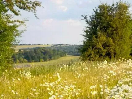 Reassuring Meditation To Calm Negative Self-Talk & Anxiety