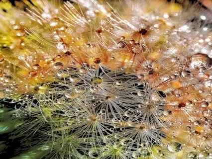 Reawaken: A Sensual Sleep Meditation For Women