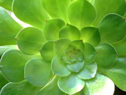 Reawaken Your Relationship With Money (EFT Tapping)