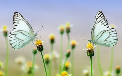 Rebalance, Reboot, And Reaffirm With Heart