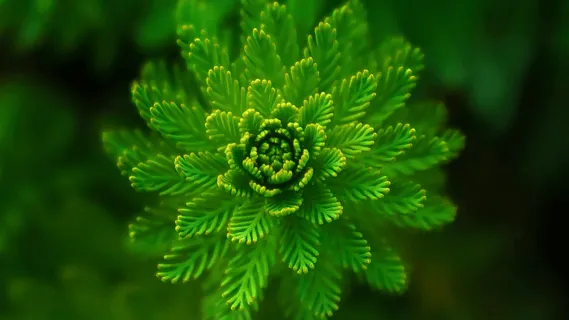 Reboot Your Mind & Body - 5-Minute Daily Insight