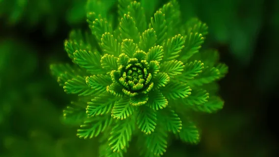 Reboot Your Mind & Body - 9-Minute Daily Insight