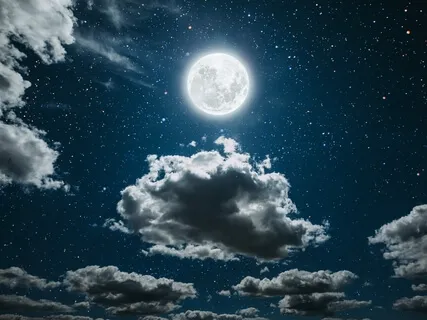 Reborn Melody (Piano Music With Forest Birds Sounds)