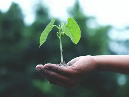 Rebuilding After Divorce Or Breakup: Self-Care And Strength