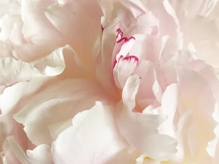 Rebuilding Your Life Meditation