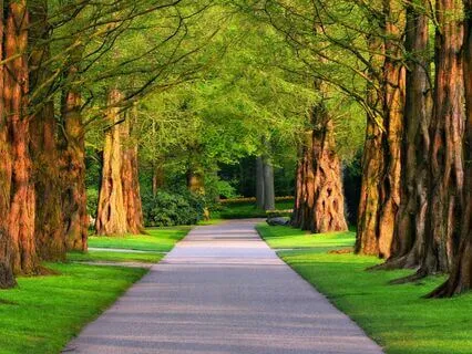 Rebuilding Your Foundation