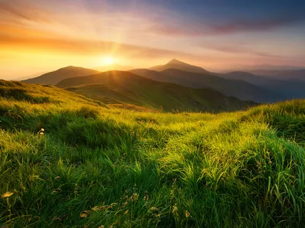 Social Action: Recalibrating Presence Through Inquiry